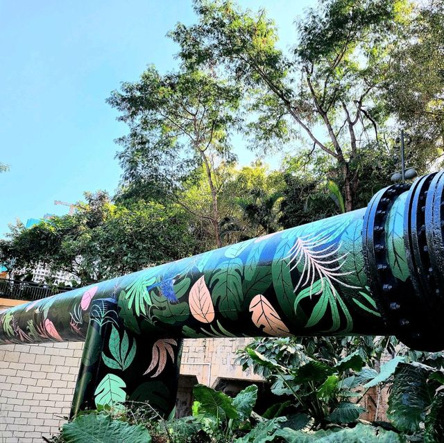 🥰大都市內不可多得的小森林🥳