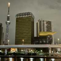 The beautiful Tokyo Skytree Tower