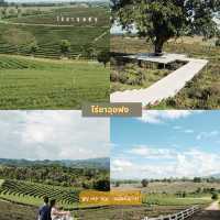 Chiangrai Guide (Part 1)