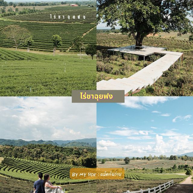 Chiangrai Guide (Part 1)