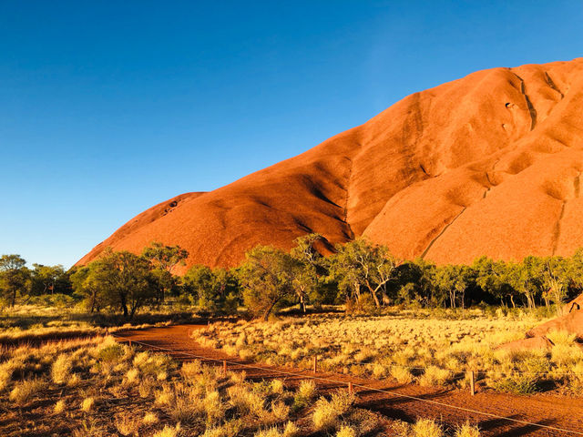 澳洲🦘來到了一個酷酷的世界♥️🟤 Uluru