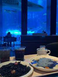 ✨ 全亞洲最大的「美麗海水族館」✨