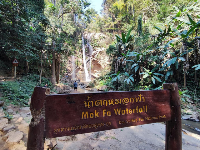 สายม่านหมอกน้ำตก @น้ำตกหมอกฟ้า 🌴🌴