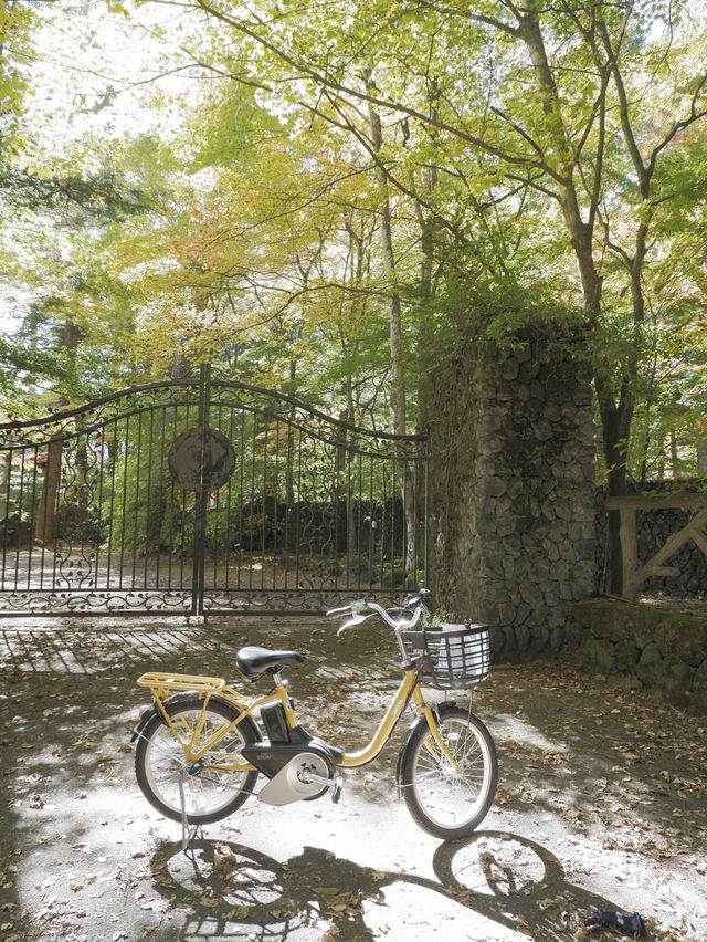 絕美賞楓勝地：雲場池