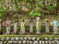 Serenity amongst the 500 Buddhas