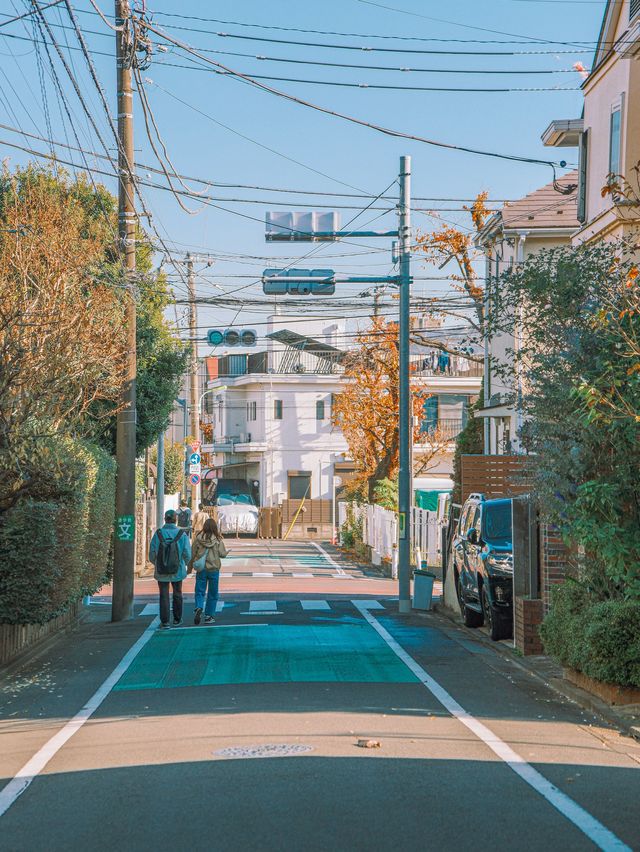  💭東京散策 | 東京一日游必打卡路線👣