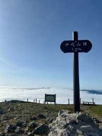 伊吹山：滋賀的自然名勝與登山者的天堂🗻🌸