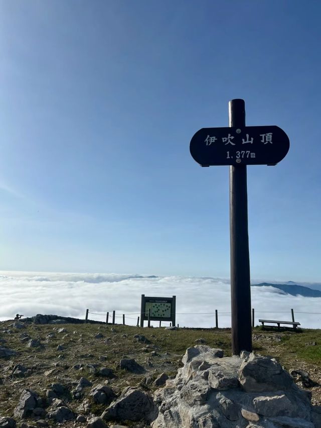 伊吹山：滋賀的自然名勝與登山者的天堂🗻🌸