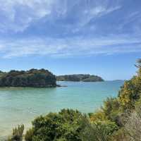 野生のキウイやオーロラが見れる！？ニュージーランド最南端の島🇳🇿