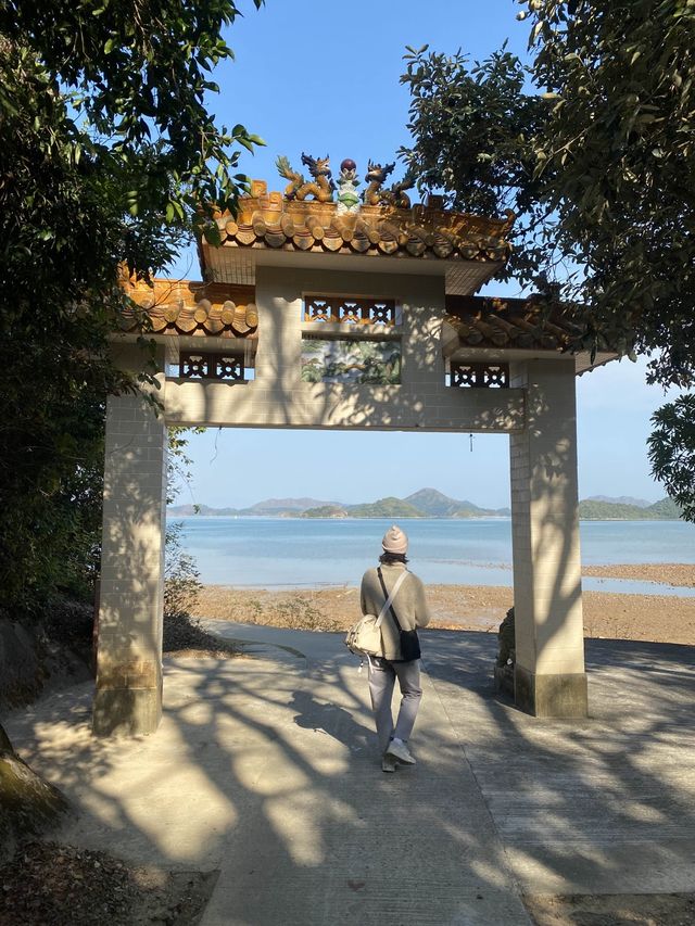 荔枝窩 梅子林
