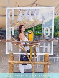 【Guam/Hyatt Regency】宿泊記✍️🏨🌺