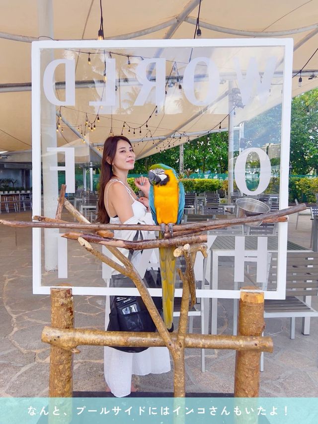 【Guam/Hyatt Regency】宿泊記✍️🏨🌺