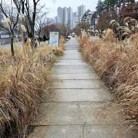 경기도에서 가장 큰 호수공원 <광교호수공원>❤️