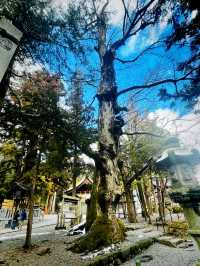 【長野県/下諏訪　全国にある諏訪神社の総本社『諏訪大社』の2つ目⛩️秋宮】