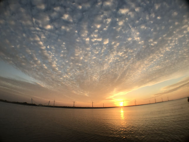 台中必去 台灣其中一個最美的日落景點之一！高美濕地🌅