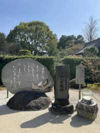 【京都】春の期間限定！「花の間」が今年も開催！より鮮やかで華やかな空間のお寺