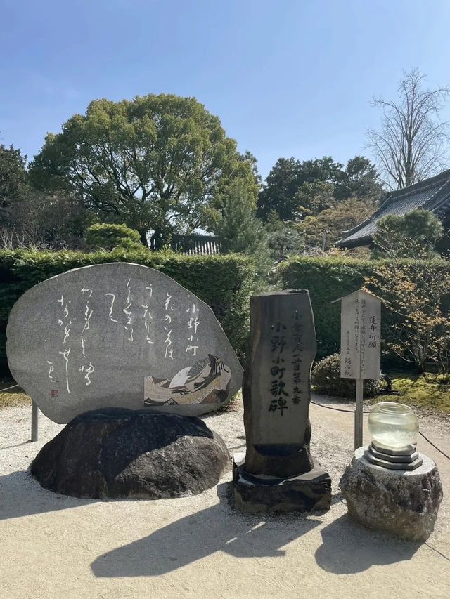 【京都】春の期間限定！「花の間」が今年も開催！より鮮やかで華やかな空間のお寺