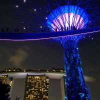 Gardens by the Bay