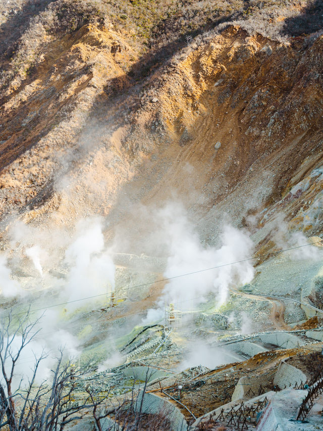 大涌谷：震撼景點，推薦給箱根旅遊朋友