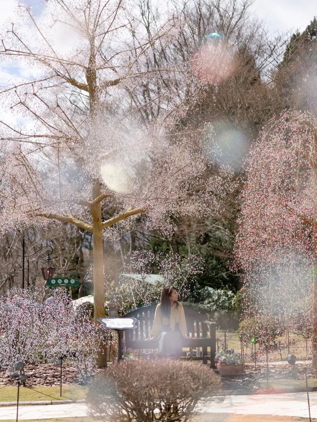 【東京都近郊】3月に行きたいお花かわかわいスポットまとめ