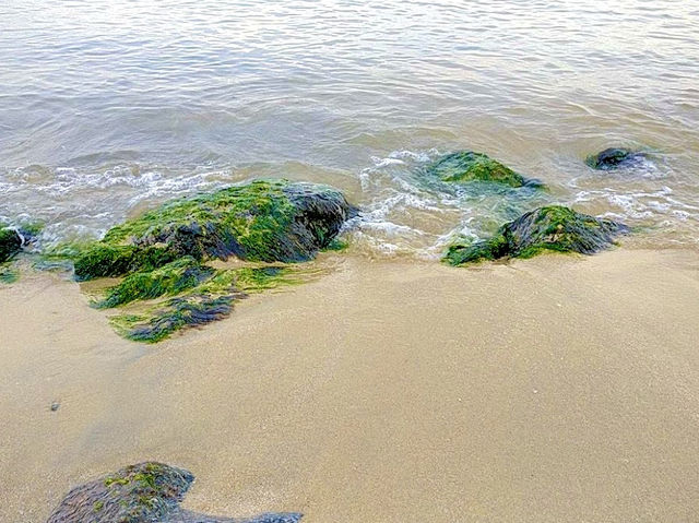 Shinojima Beach 