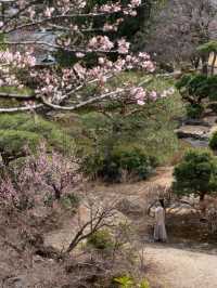 【静岡県/伊豆の国】秘密にしたい美しすぎる日本庭園