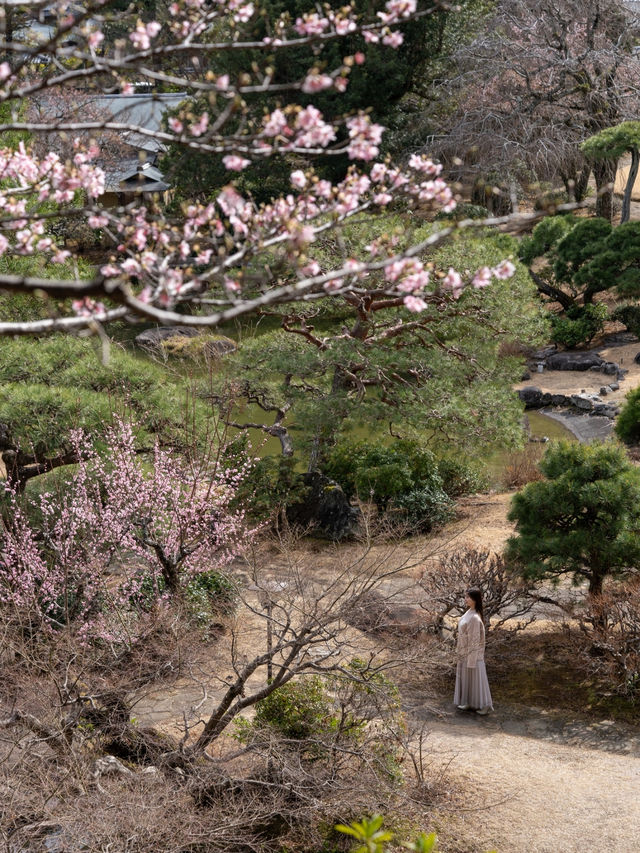 【静岡県/伊豆の国】秘密にしたい美しすぎる日本庭園