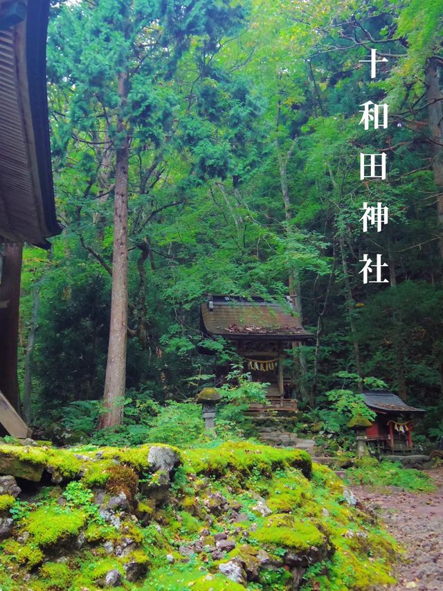 【青森】修験道の霊場として信仰されてきた神秘的なパワースポット！十和田神社⛩