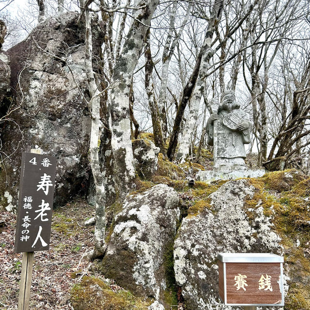 【別府】鶴見岳にある別府ロープウェイからの桜