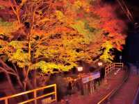 京都 貴船神社