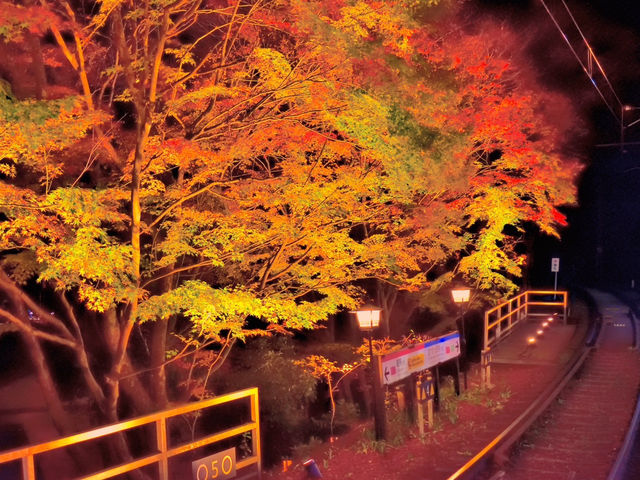 京都 貴船神社