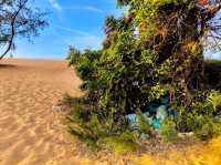 Red Sand Dunes Beach