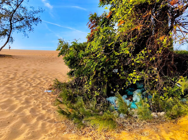 Red Sand Dunes Beach