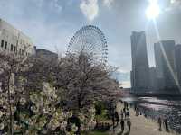 【横浜】自然と建物の調和〜横浜みなとみらい〜