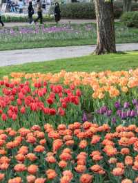 【東京都/立川市】今が見頃！25万株のお花の世界🌷