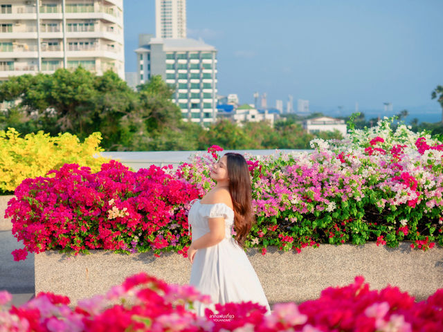 พิกัดถ่ายรูปดอกเฟื่องฟ้าแบบแน่น ๆ 🌷