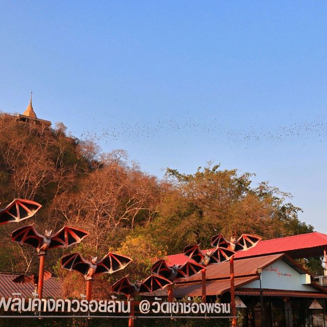 ชมค้างคาวร้อยล้าน วัดเขาช่องพราน ราชบุรี