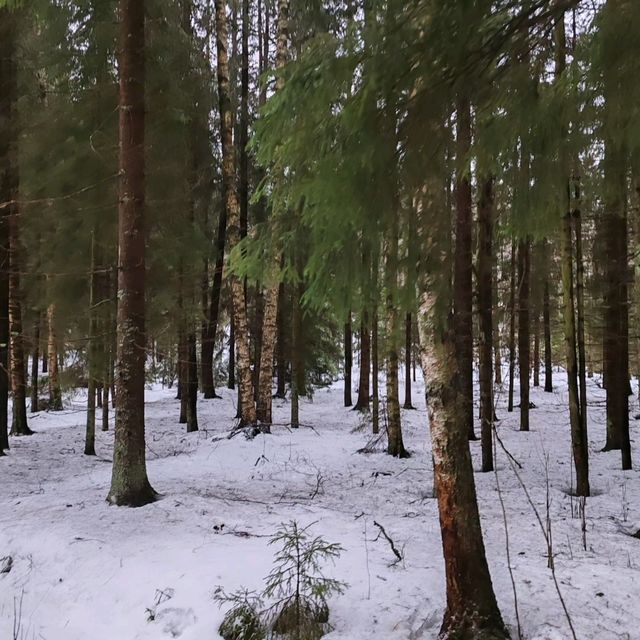 Winter Hike at Nuuksio National Park, Helsinki