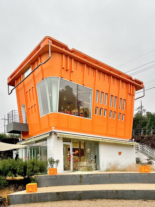 비가와도 귤따기 체험가능한 카페 <카페더콘테나> 🍊