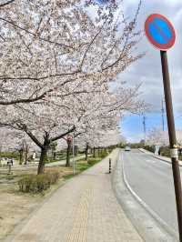 Jōyama Park 