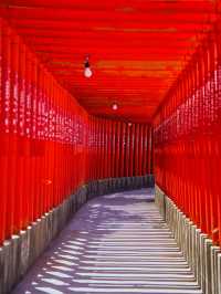 【山口】京都の伏見稲荷だけじゃない‼️ 長く絶景へと続く千本鳥居があるのはこちら⛩