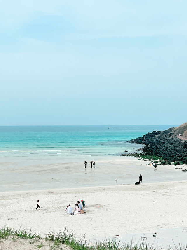 🇰🇷濟州島|必去景點「咸德海水浴場」果凍海配上油菜花！夢幻組合！