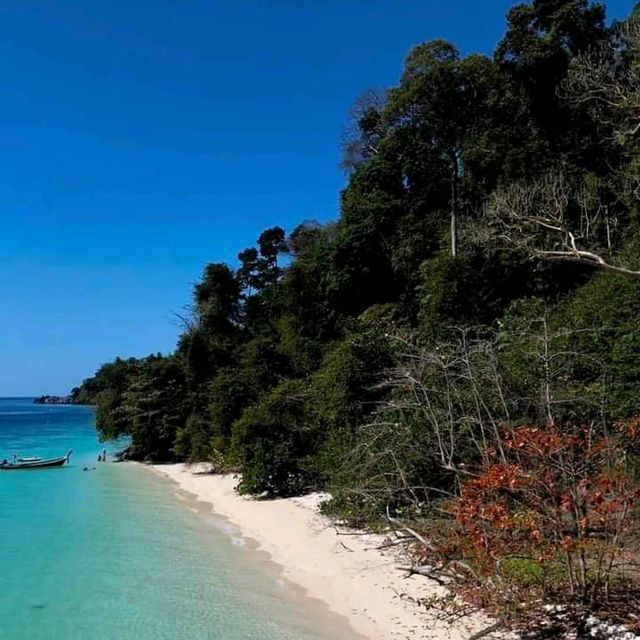 เกาะกระดาน ชายหาดที่ดีที่สุดในโลก