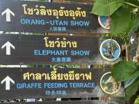 ชมโชว์ความสามารถของสัตว์ต่างๆ🐬