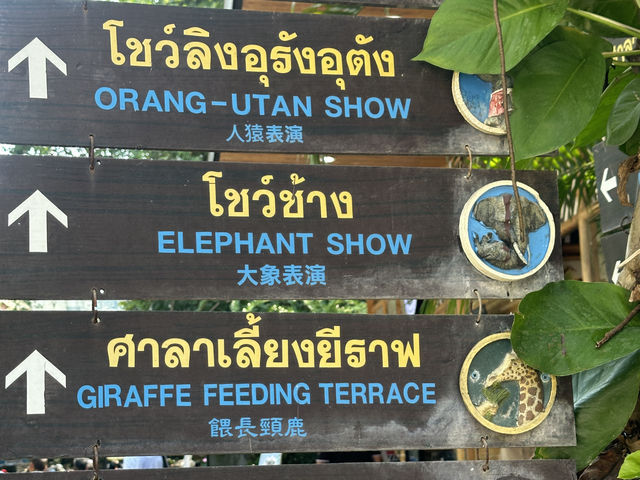 ชมโชว์ความสามารถของสัตว์ต่างๆ🐬
