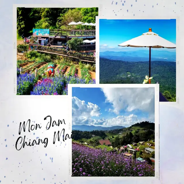 Mon Jam, Chiang Mai⛰️🌿