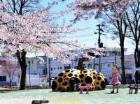 十和田美術館櫻花