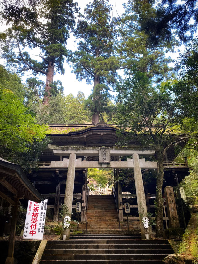 「貴船神社」、「鞍馬寺」：京都近郊小旅行，絕景雲珠櫻和滿山紅葉