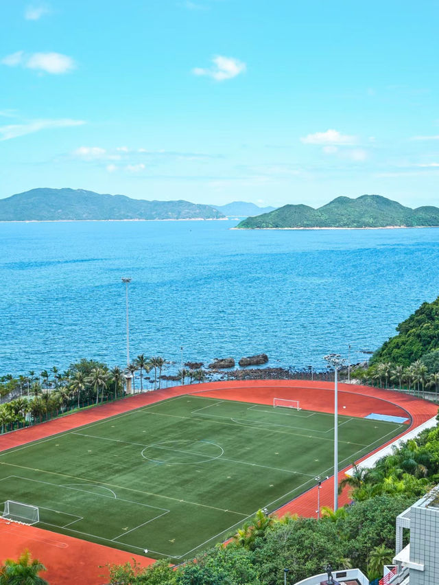 海濱之夢：母親節與夢中的學府