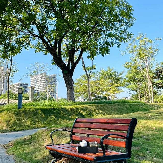 【澳門景點】𧙗漢公園：自然美景、難忘回憶！